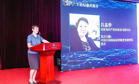 香港全年最全免费资料大全