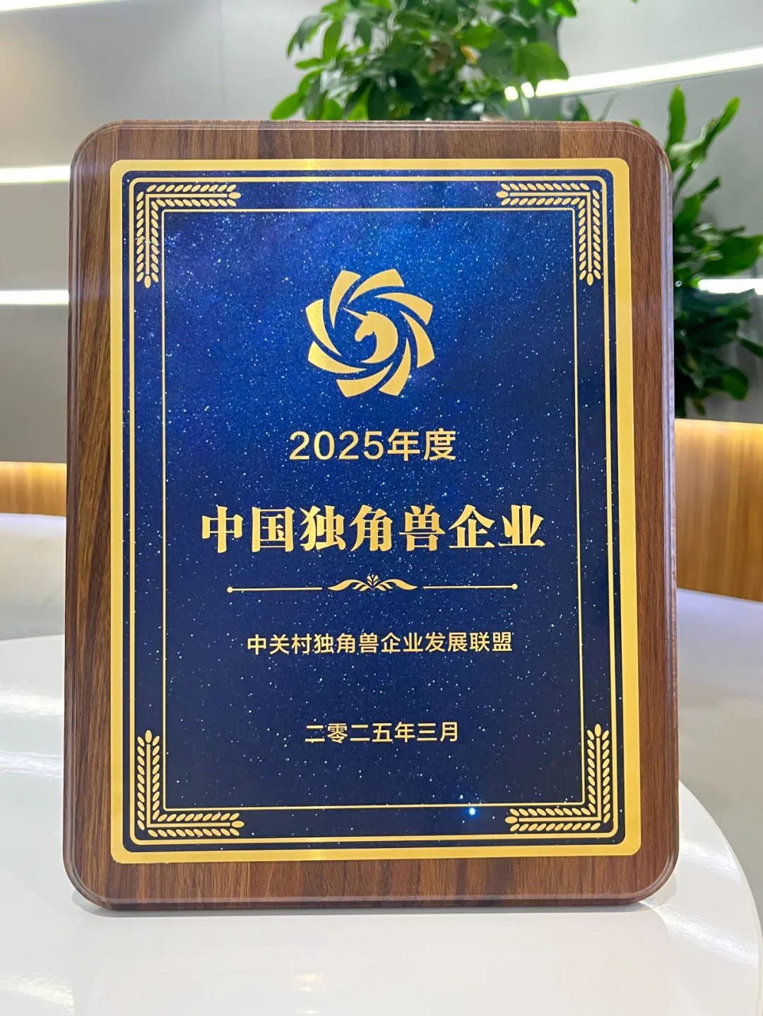 香港全年最全免费资料大全