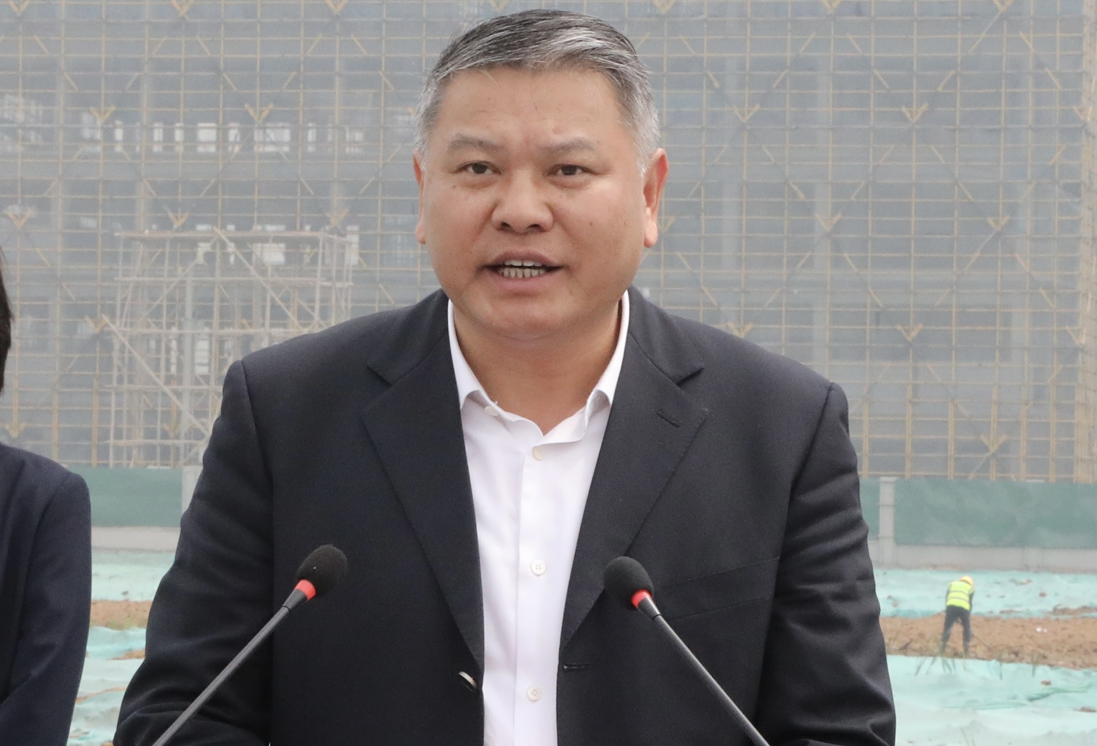 香港全年最全免费资料大全